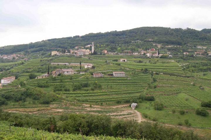 Valpolicella har vackra böljande kullar som terrasserats för vinodling.