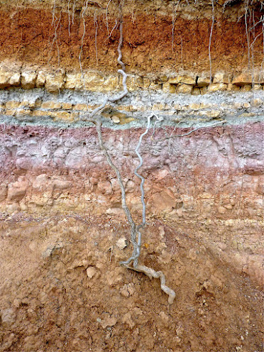 Jordmånen är sandig med en hel del kalk. Vinstockarnas rötter får gräva ned sig djupt vilket gynnar vinets komplexitet.
