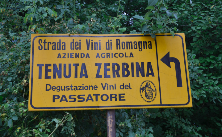 Fattoria Zerbina har under många år tillhört en av Italiens bästa producenter av Sangiovese viner.
