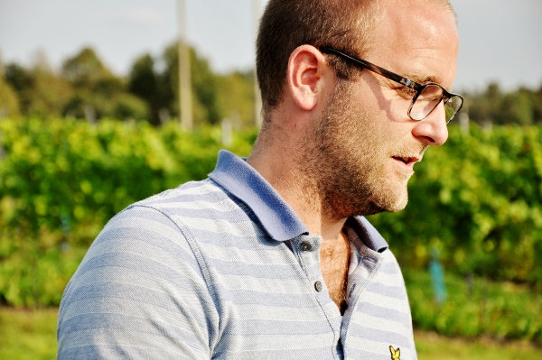 Daniel Carlsson, Ästads vingård