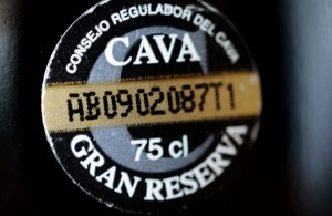 Consejo Regulador del Cava (800x519)