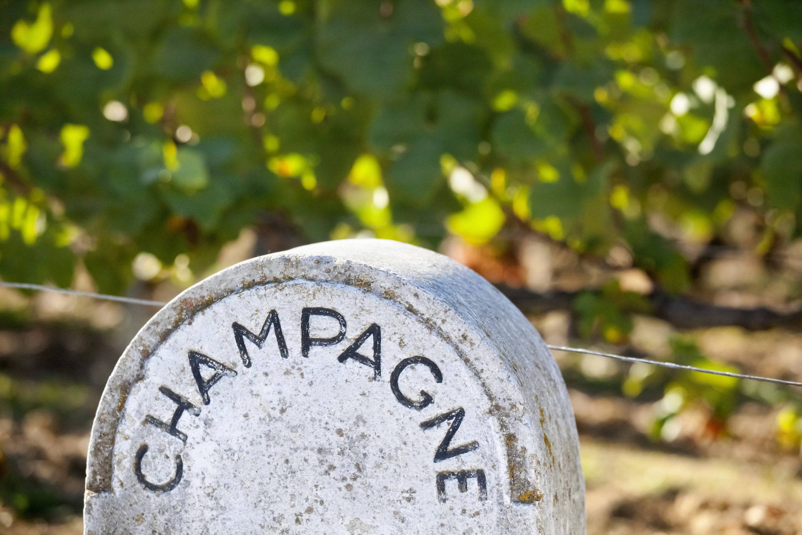 Champagne bäst i test 2022 Champagnes guldålder Champagnedagen 2023